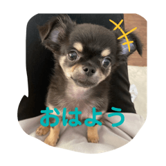 [LINEスタンプ] 小林ななデイズ