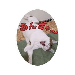 [LINEスタンプ] 私の備忘録