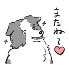 [LINEスタンプ] 左右非対称のボーダーコリー