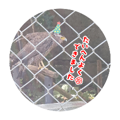 [LINEスタンプ] 鳥とーり