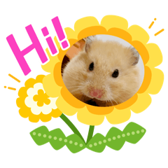 [LINEスタンプ] はむきち①
