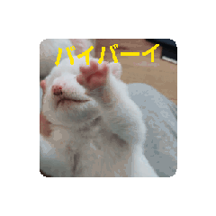 [LINEスタンプ] mpfulab