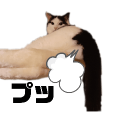 [LINEスタンプ] 我が家の猫と諸々スタンプNo.2