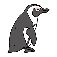 [LINEスタンプ] ケープペンギンといっしょ