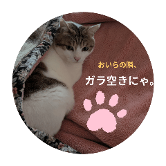 [LINEスタンプ] 私の忘備録②