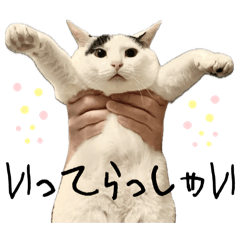 [LINEスタンプ] はっぴーの生活4