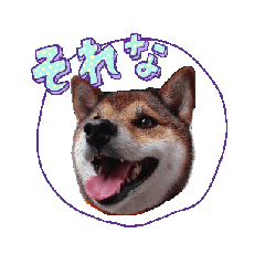 [LINEスタンプ] 動く姫ちゃん夢ちゃん7