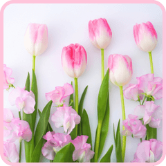 [LINEスタンプ] 春色のお花で伝えるメッセージ