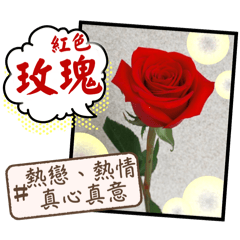 [LINEスタンプ] はな花言葉