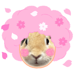 [LINEスタンプ] うちのこたちシリーズ