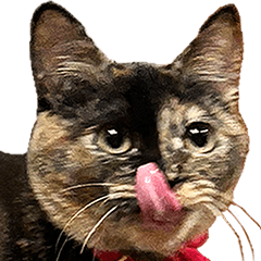 [LINEスタンプ] 雑種のサビ猫スタンプ03