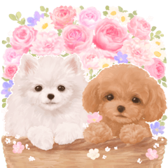 [LINEスタンプ] 大人かわいい♡いぬと花のスタンプ