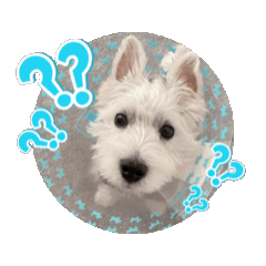 [LINEスタンプ] なな吉スタンプⅡ