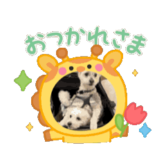 [LINEスタンプ] ᐡ- ·̫ •ᐡฅ♡♥