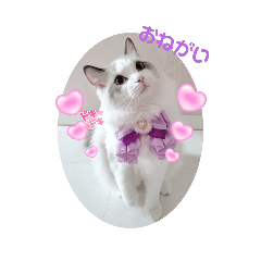 [LINEスタンプ] うたはふの挨拶スタンプ