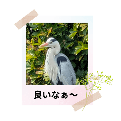 [LINEスタンプ] ハナ作成5