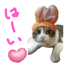[LINEスタンプ] にゃんさん達