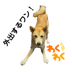 [LINEスタンプ] 我が愛する愛犬