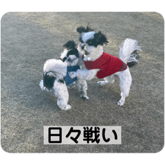 [LINEスタンプ] 働く犬のスタンプ