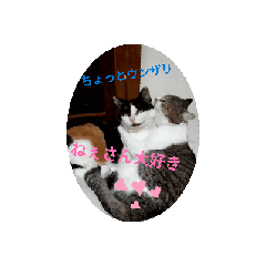 [LINEスタンプ] 動画でGO☆