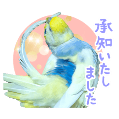 [LINEスタンプ] おしゃべりインコのチョコちゃん3