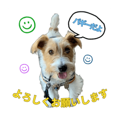 [LINEスタンプ] ごきげん⭐︎バギたん
