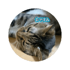 [LINEスタンプ] むちゃこて