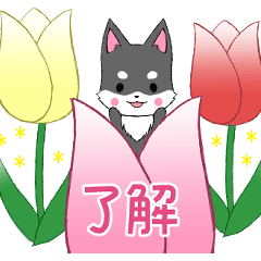 [LINEスタンプ] ちびハスキー14【春】
