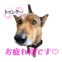 [LINEスタンプ] 可愛い子たちのスタンプ第一弾