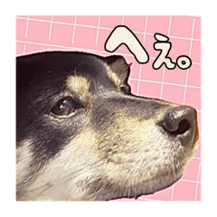 [LINEスタンプ] 今田ハルのスタンプ