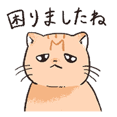 [LINEスタンプ] 困った茶トラねこ