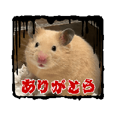 [LINEスタンプ] ボンくん(̨̡՞ . .՞)̧̢