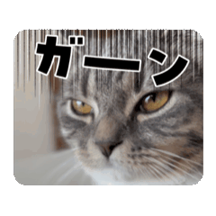 [LINEスタンプ] アールとエル