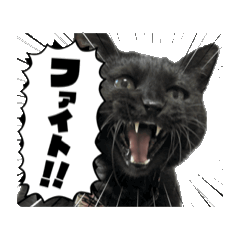 [LINEスタンプ] アタチのスタンプ！！