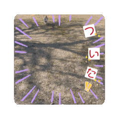 [LINEスタンプ] 米太とつなとでんちゃん