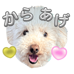 [LINEスタンプ] みんな大好きからあげ