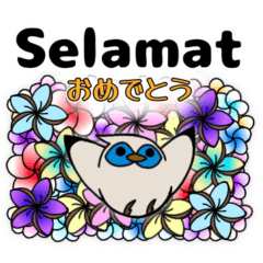 [LINEスタンプ] カンムリシロムク インドネシア語 日本語