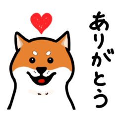 [LINEスタンプ] 柴犬ワンワンスタンプ