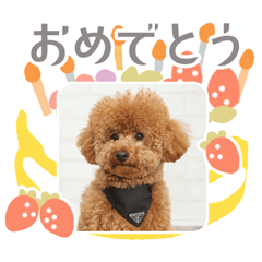 [LINEスタンプ] タートルスタンプ 13250274