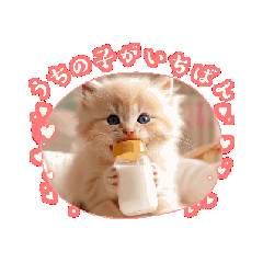 [LINEスタンプ] 可愛い子猫kawaiineko