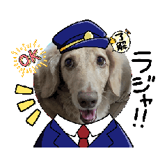 [LINEスタンプ] Louis ＆ Latte