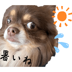 [LINEスタンプ] かわいすぎるわがこたちスタンプ