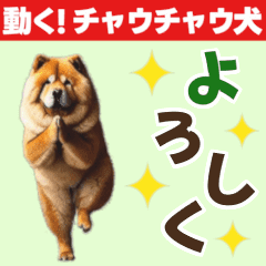 [LINEスタンプ] 動く▶️チャウチャウ犬♪毎日使える挨拶♡