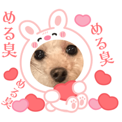 [LINEスタンプ] めるるの新一セレクト⑤