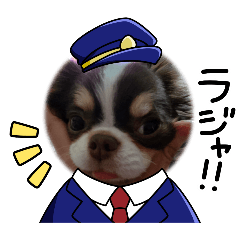[LINEスタンプ] チワワ4兄妹(ネオ・ピノ・イオ・のい)