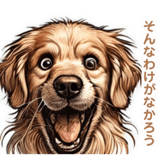 [LINEスタンプ] ゴールデンレトリバーの変なやつ