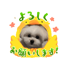[LINEスタンプ] 笑顔だいふくスタンプ
