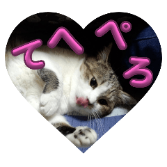 [LINEスタンプ] ドタバタな日々