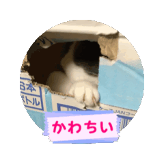 [LINEスタンプ] 動くこま