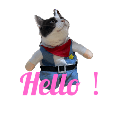 [LINEスタンプ] ねこさん バージョン①
